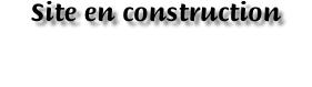 — Site en construction —
